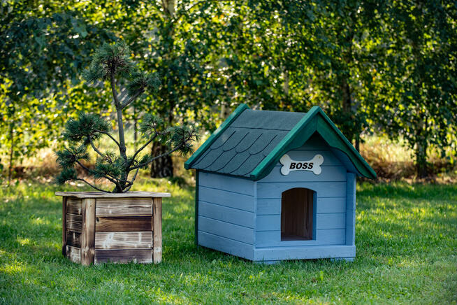 Średnia Buda dla psa Wysyłka Najwyższa JAKOŚĆ