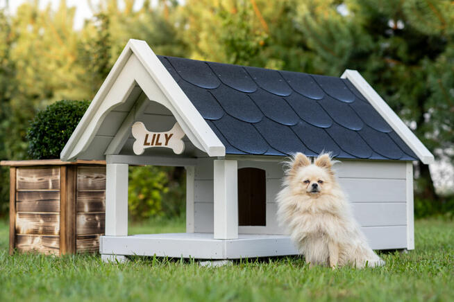 Mała buda TARAS ocieplana Wysyłka Cała Polska