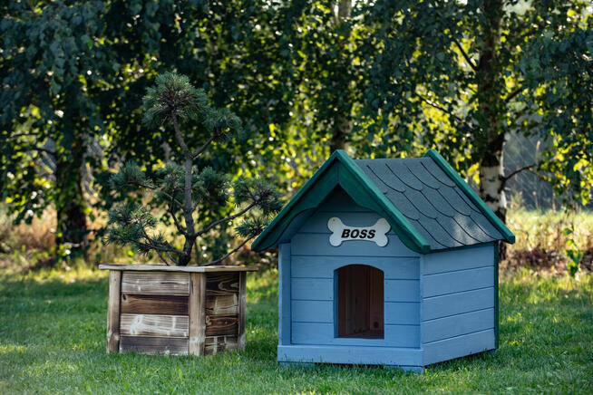 Średnia Buda dla psa Wysyłka Najwyższa JAKOŚĆ