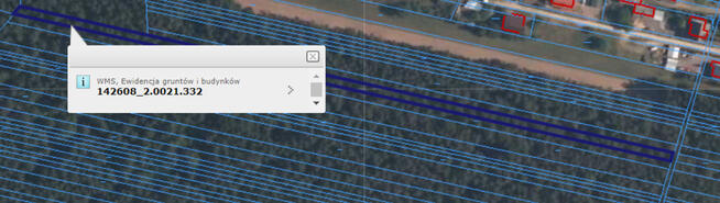 Piękny las w miejscowości Rakowiec