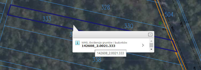 Piękny las w miejscowości Rakowiec
