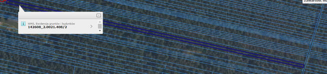 Piękny las w miejscowości Rakowiec