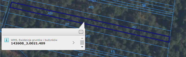 Piękny las w miejscowości Rakowiec