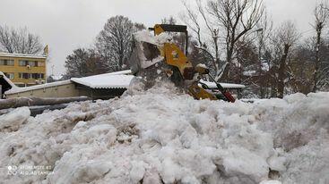 Załadunek i wywóz sniegu