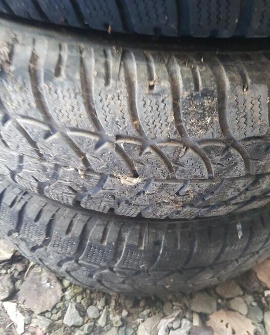 Opony zimowe 175 70 13