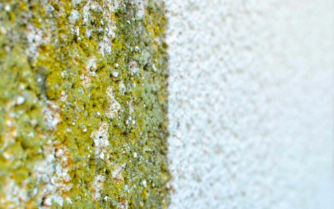 Mycie Elewacji Słupsk - Ustka i okolice.