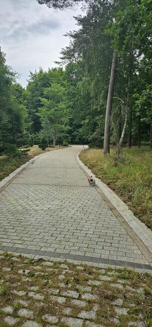 Mycie i czyszczenie polbruku - darmowa wycena. Słupsk Ustka