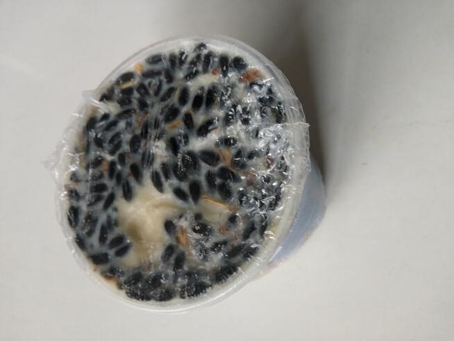 Karma zimowa dla ptaków kule dzwonek tłuszczowy