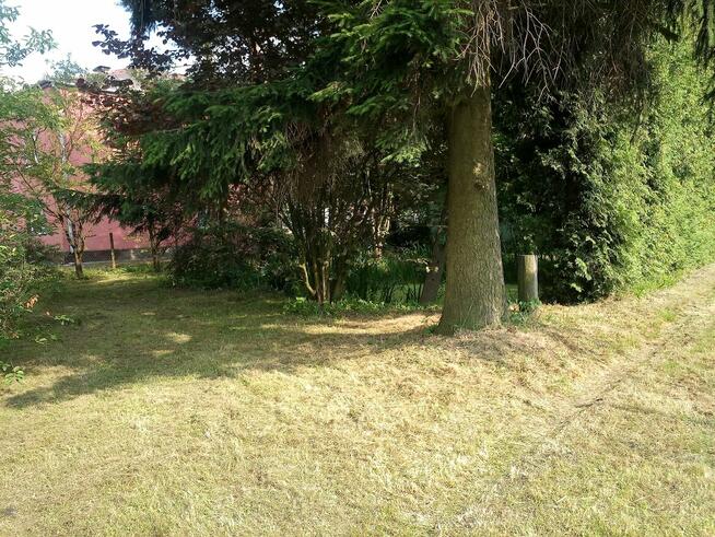 Siedlisko i grunty orne.