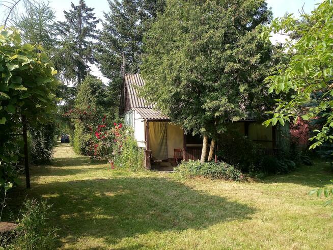 Siedlisko i grunty orne.