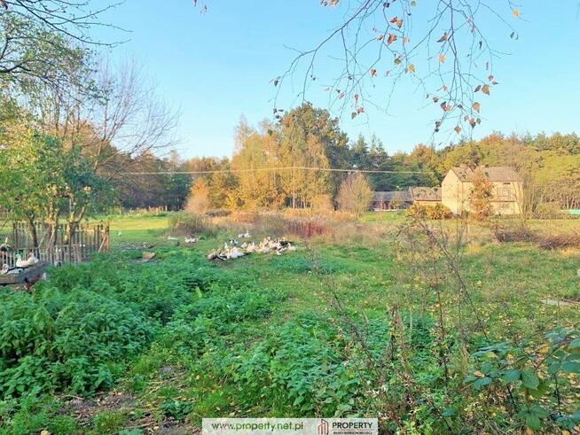 Działka 0,34 ha z domem, Nagoszyn, gm. Żyraków