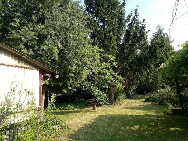 siedlisko i ziemia orna.