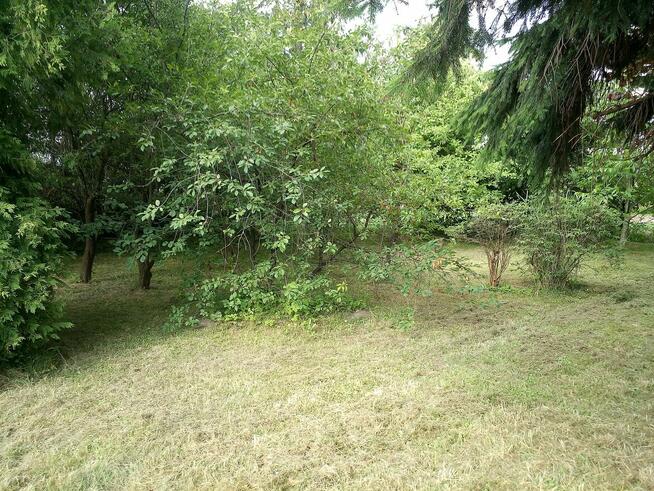 siedlisko i ziemia orna.