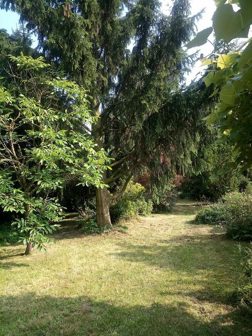 siedlisko i ziemia orna.