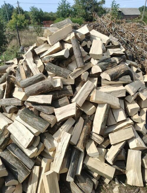 Drzewo opałowe GRAB DĄB plus rozpałka GRATIS