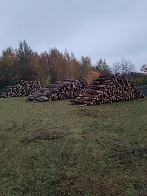 Drzewo opałowe GRAB DĄB plus rozpałka GRATIS