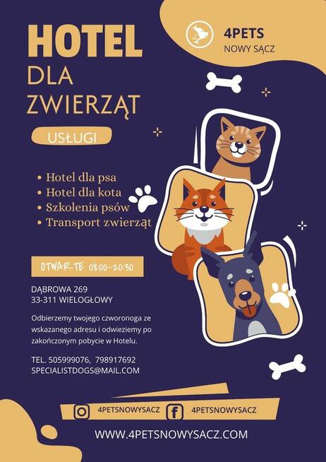 Hotel dla zwierząt Nowy Sącz, Małopolska