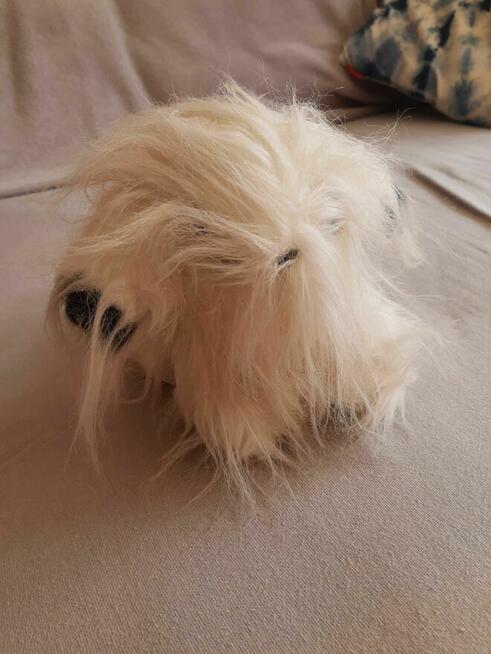 Piesek pluszak maskotka