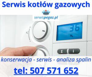 Serwis kotłów i podgrzewaczy gazowych