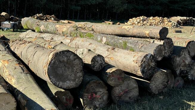 Grube drewno KŁODA BUKOWA (wdp) TANIO