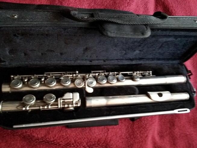 Flet Poprzeczny Japoński