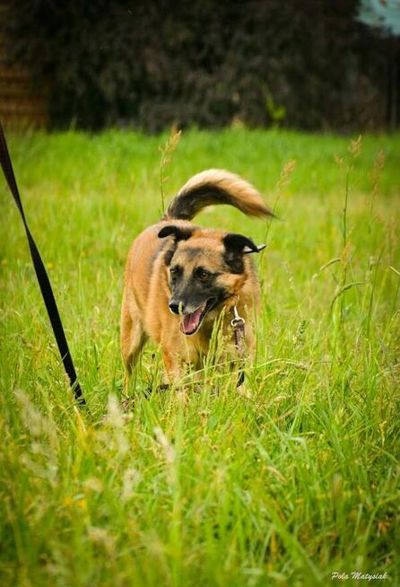 Pikuś czeka na dom stały!