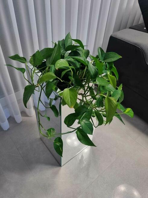 Osłonki do kwiatów lustrzane