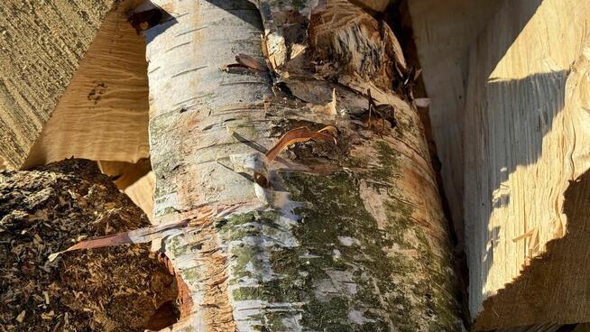 Drewno na opał BRZOZA do kominka ładnie przesuszona TANIO