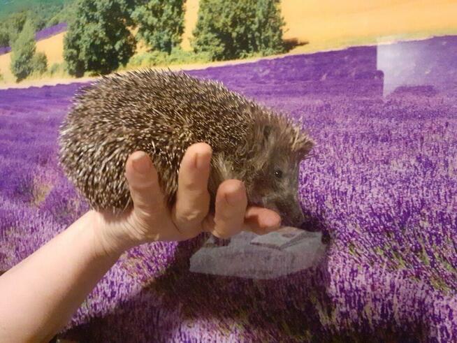 Wirtualna znajomość PRZYIACIELE