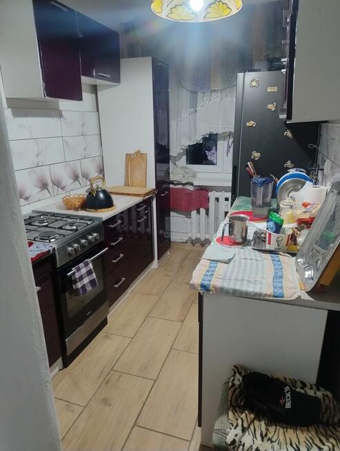 KŁADZENIE GLAZURY Tyko telefonicznie