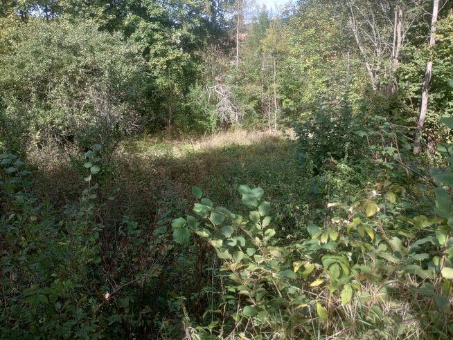 Działka rolno-budowlana z widokiem na góry – Tylmanowa