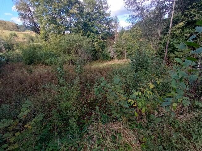 Działka rolno-budowlana z widokiem na góry – Tylmanowa