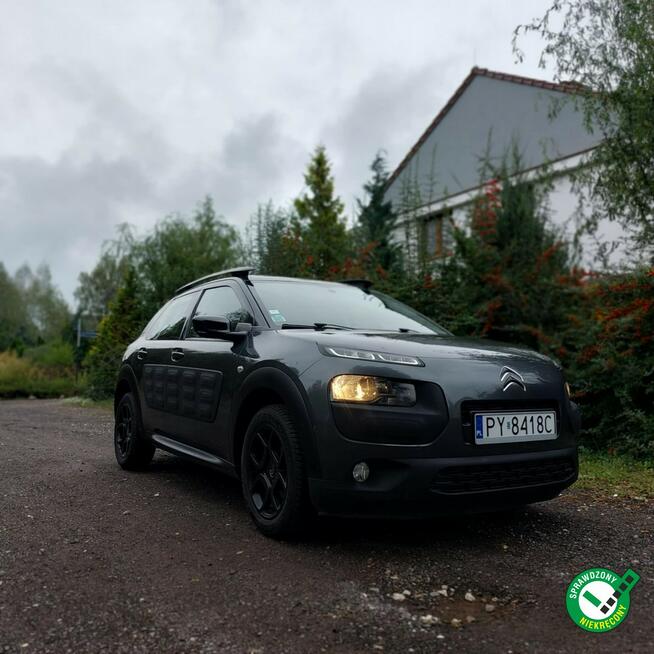 Citroen C4 Cactus Zadbany