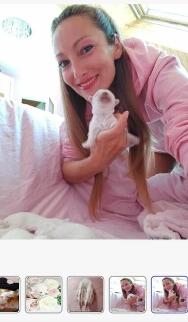 Szczeniaczki z rodowodem zapowiedź miotu kwiecień 2026