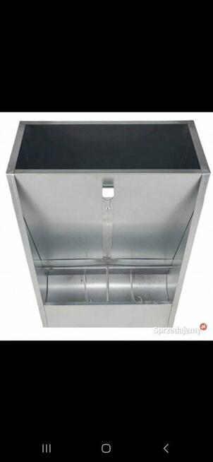 Paśnik dla świń, prosiąt, trzody chlewnej.