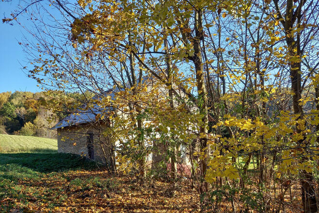 Sprzedam stary dom w Owczarach blisko Krakowa