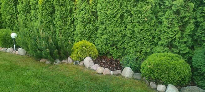 Działka rekreacyjna nad jeziorem Jeziorak