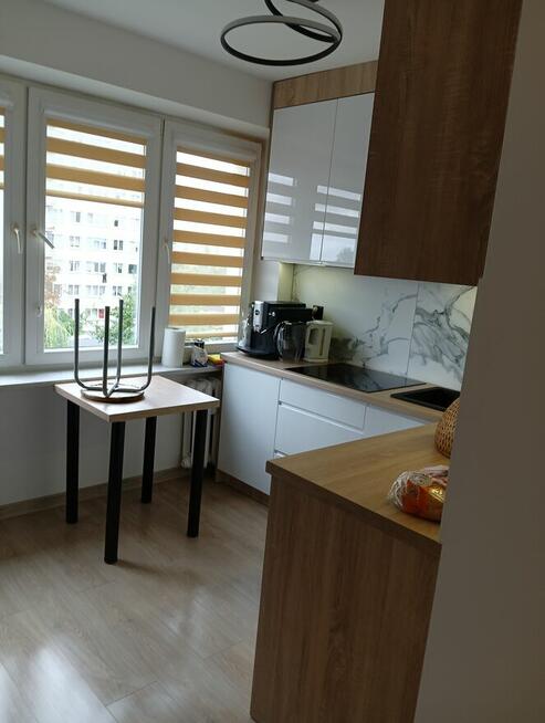 Sprzątanie domu mieszkania biura i pracę ogrodowe