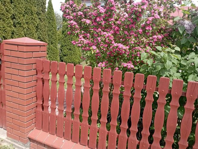 Sprzedam dom z działką