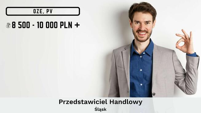 Przedstawiciel Handlowy