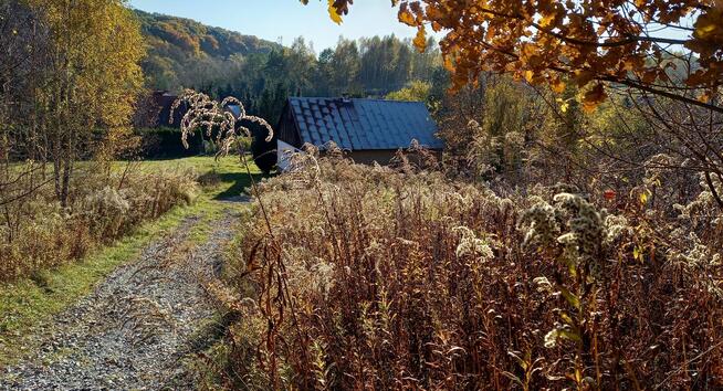 Sprzedam stary dom w Owczarach blisko Krakowa