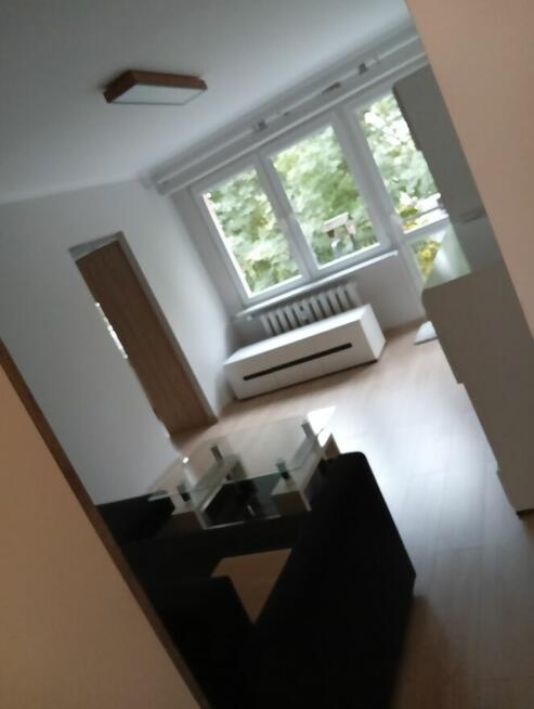 Sprzątanie domu mieszkania biura i pracę ogrodowe