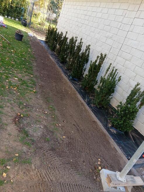 Sprzątanie domu mieszkania biura i pracę ogrodowe