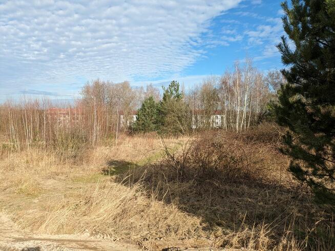 Okmiany - malownicza działka budowlana na wzniesienu