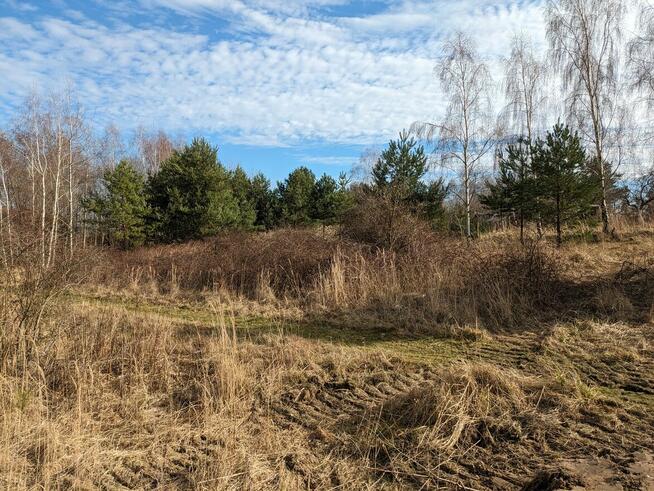 Okmiany - malownicza działka budowlana na wzniesienu