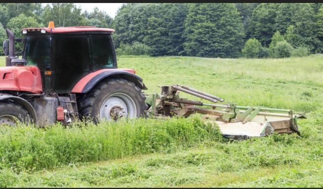 Przyjmę w dzierżawę grunty rolne i leśne, łąki, niskie klasy