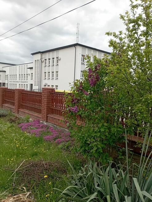 Sprzedam dom z działką