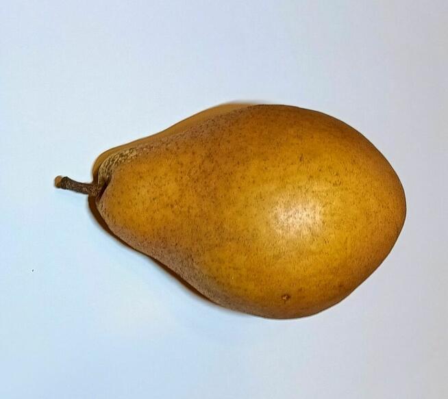 Gruszki duże twarde cena brutto 2-3 zł. oferent.pl.tl