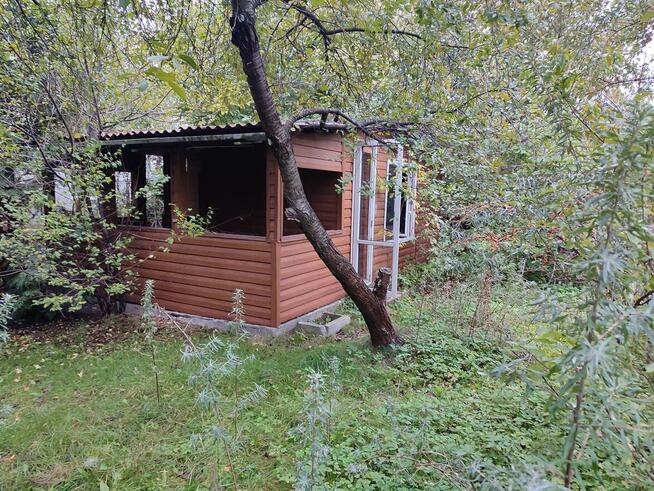 Ogródek Działkowy ROD przy ICZMP.