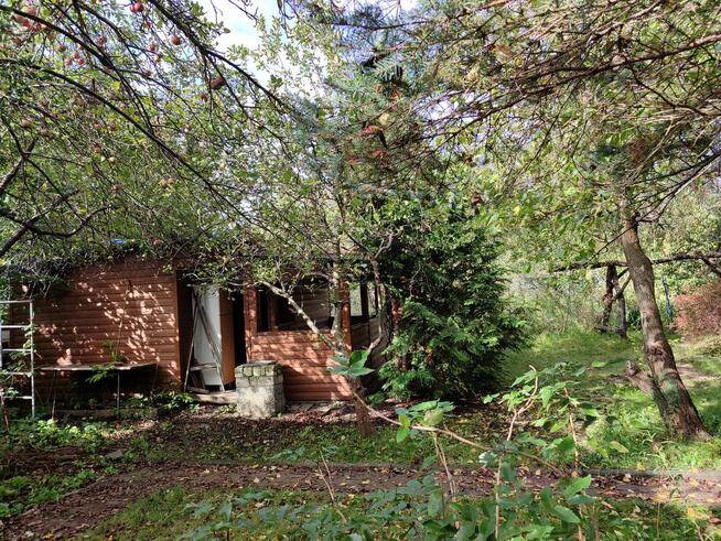 Ogródek Działkowy ROD przy ICZMP.